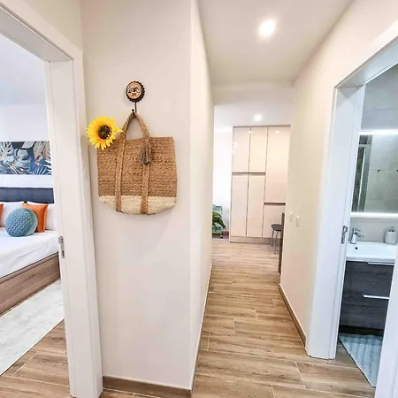 Rocha Candimar Harmony *