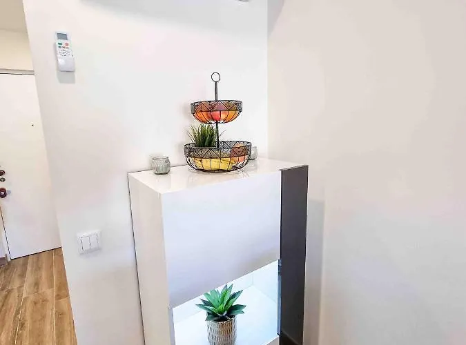 Rocha Candimar Harmony *