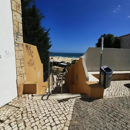 Rocha Candimar Harmony * Портиман